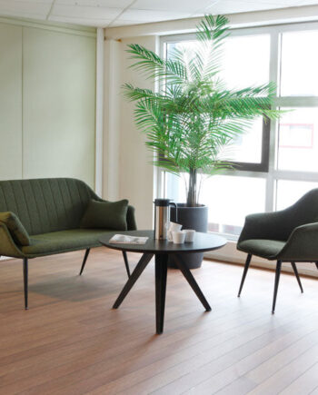 Amicus Sofa Grøn